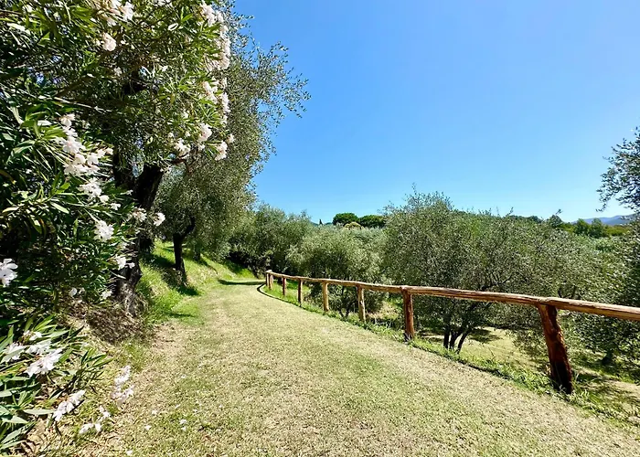 Agriturismo Uliveto Bartolomeo