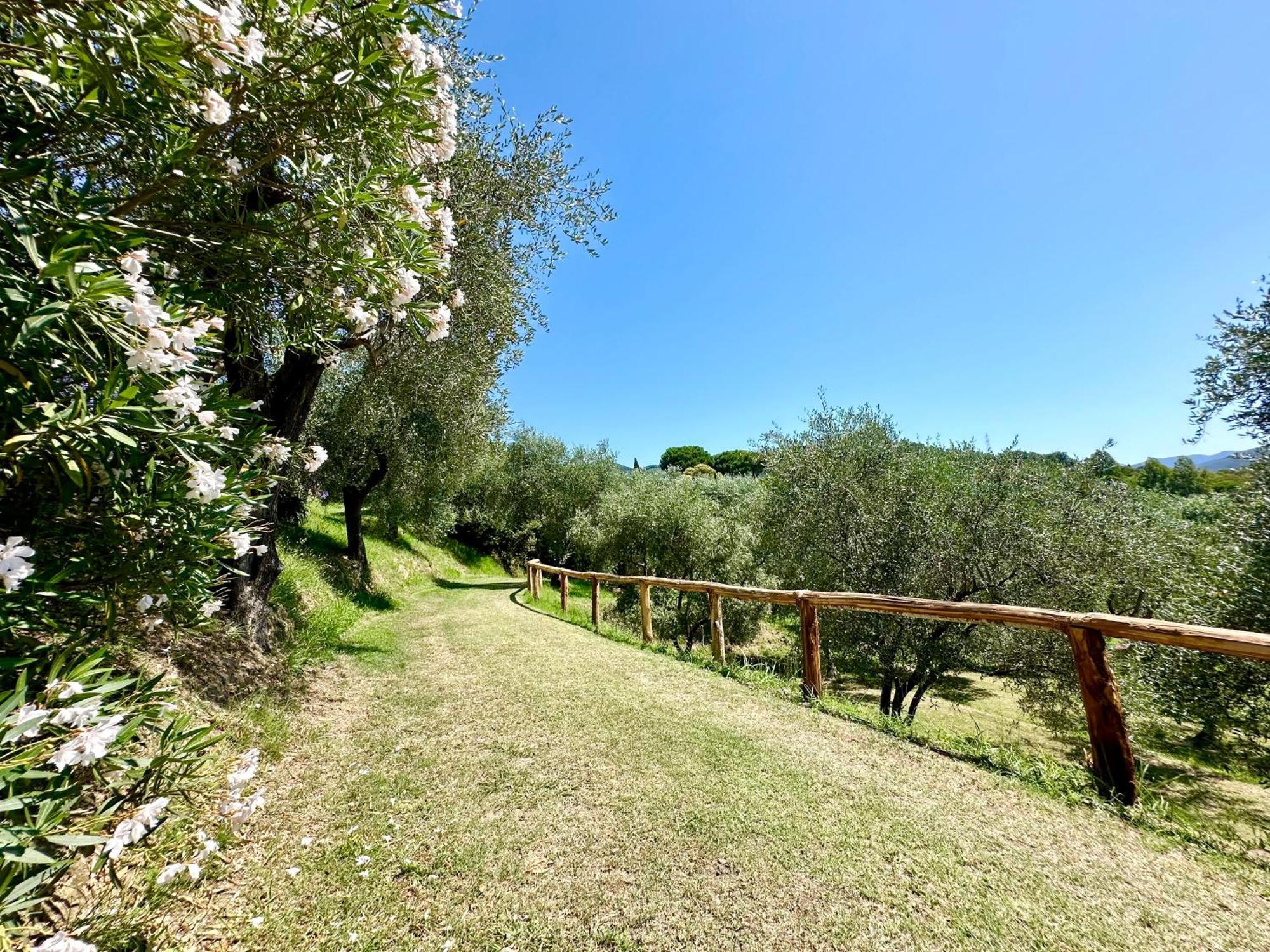 Uliveto Bartolomeo Bed & Breakfast