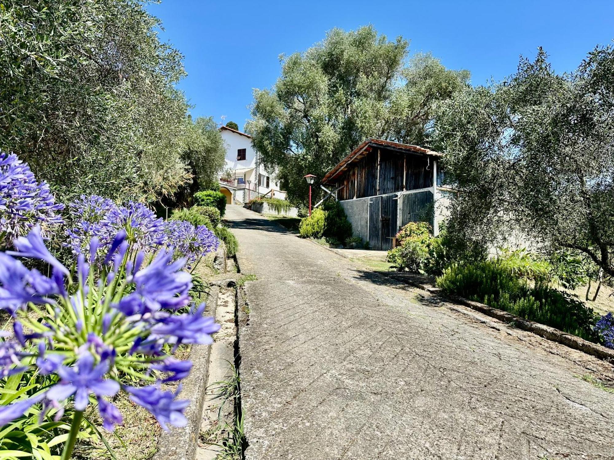 Uliveto Bartolomeo Bed & Breakfast