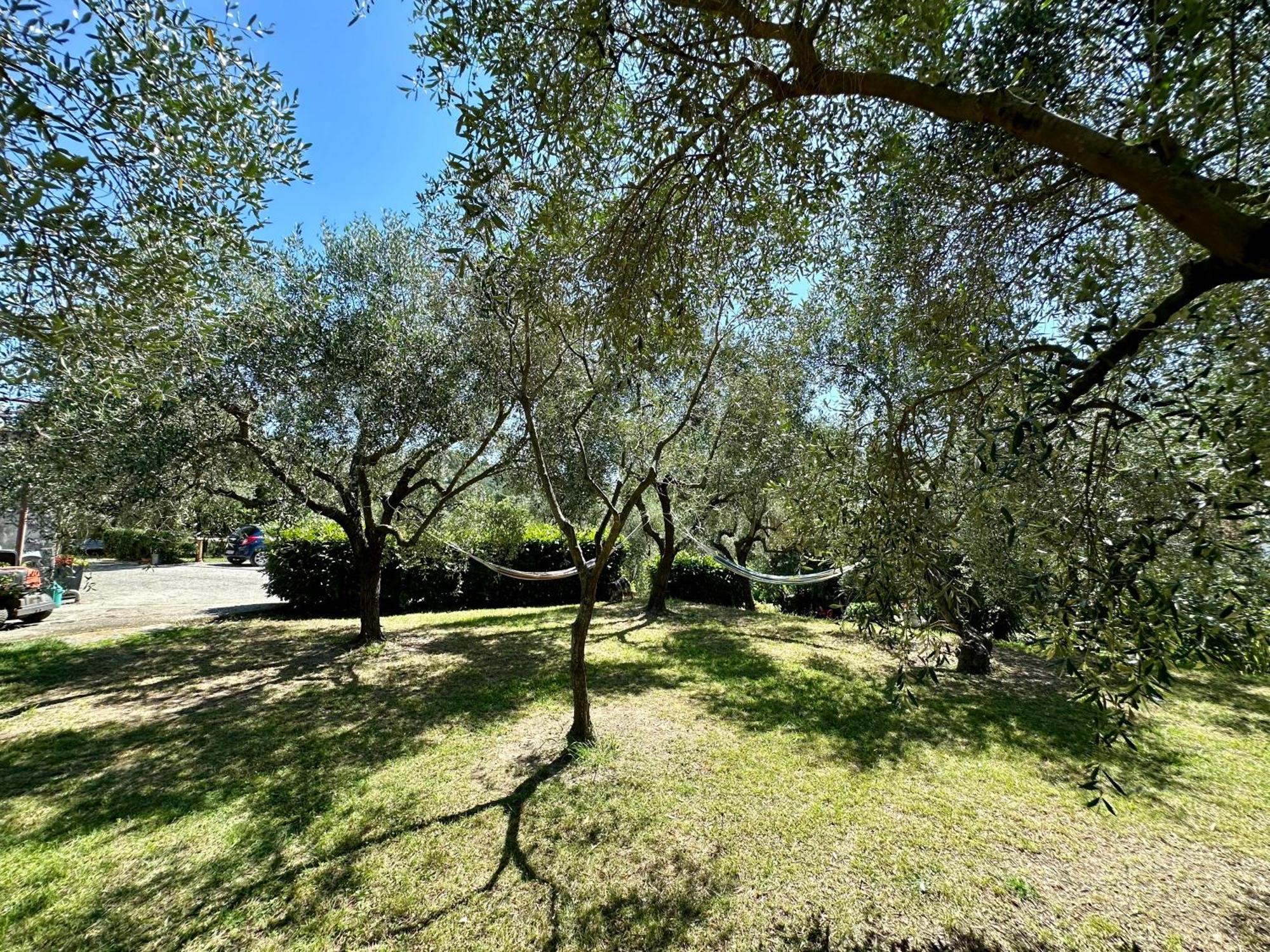 Bed & Breakfast Uliveto Bartolomeo Sestri Levante